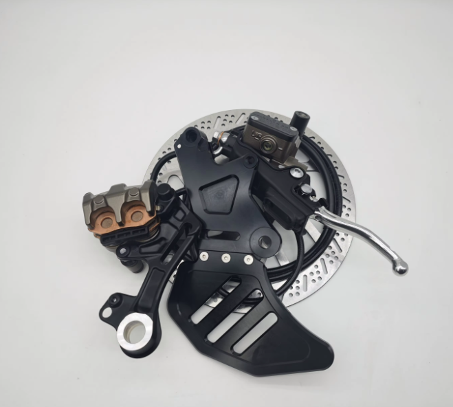 Surron Lbx Ultra bee rear brake assembly